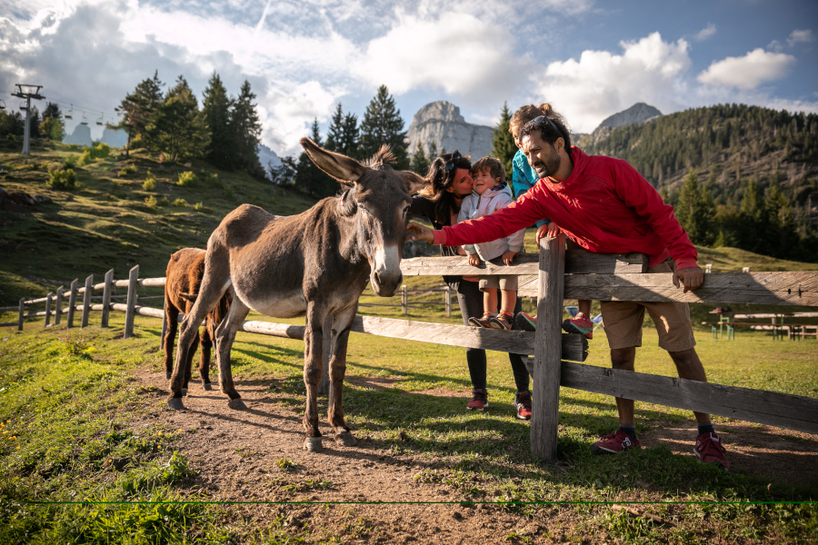 Relax in Trentino